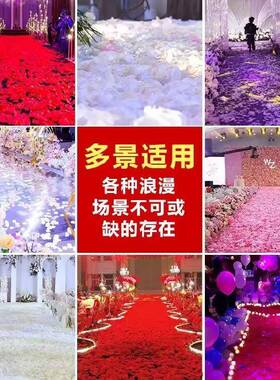 礼免搓仿真玫假花瑰瓣结婚表白饰手撒花求婚装花瓣雨婚房布置HNU