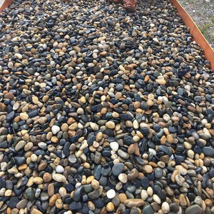 21-4mm鹅m卵石滤料4-8m鹅卵石滤料8-6mm承托层料16-25m滤m水处理