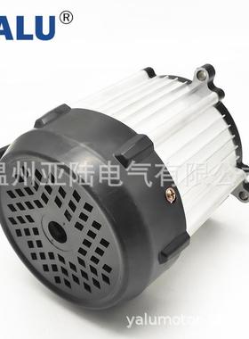 亚陆无YALU差速电机BM141速8Z1PSH200W4永8V磁直流刷电机不带减箱