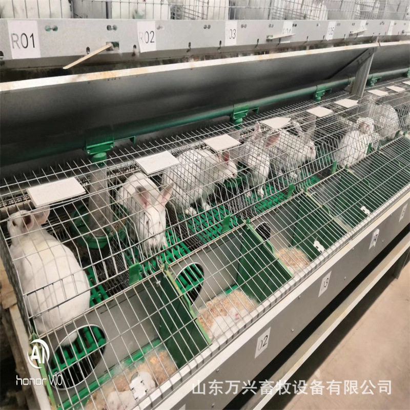 欧式兔笼双层兔笼双层24笼位兔笼种兔育成繁殖一体笼养兔用图片