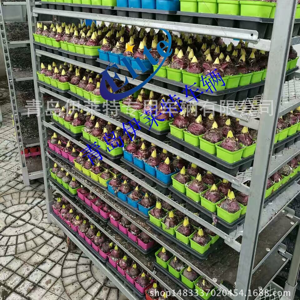 可拆卸育苗穴盘周转车配套播种机