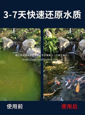 鱼池过滤系器池塘AYH水循滤环过统不大型过滤设备户外锈钢净化过