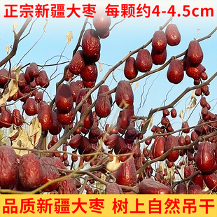 2025年新红枣正宗新疆和田大枣零食红枣新疆枣子新疆特产自然风干
