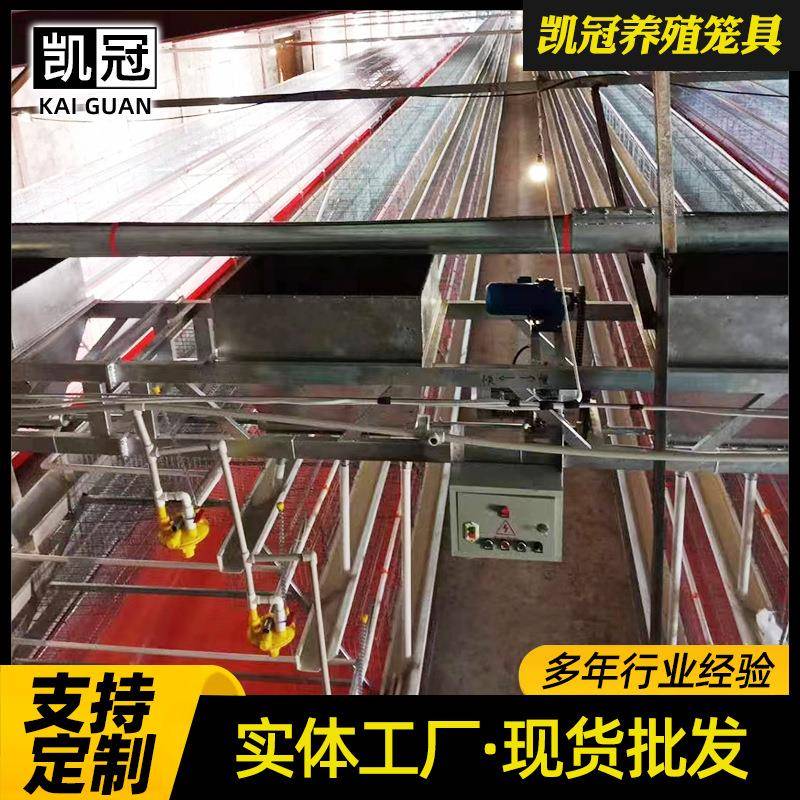 层阶梯式蛋鸡笼新型EOP全清自动养鸡设备热多镀锌自动粪带钢丝蛋