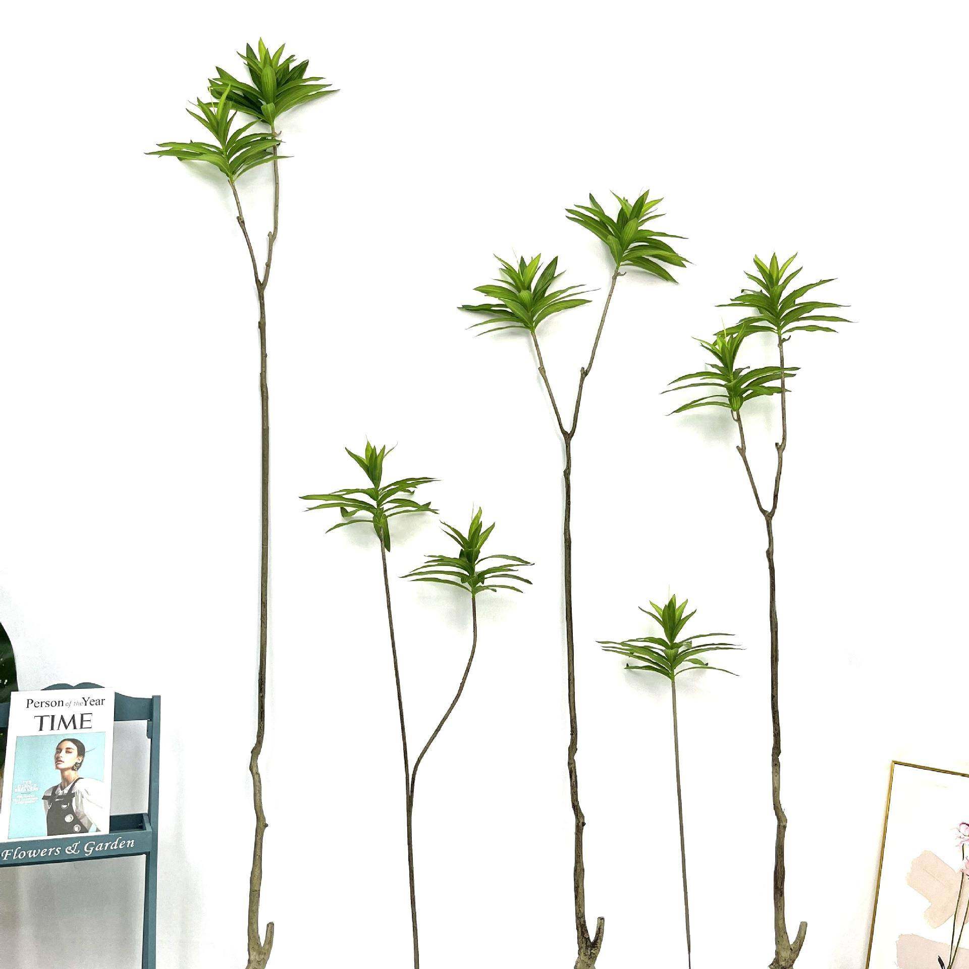 真百合竹地植物盆公栽2023221办室室内仿客厅大型落网红绿植仿真,鲜花速递/花卉仿真/绿植园艺,仿真绿植,淘宝优惠券,粉丝福利购,淘宝优惠卷