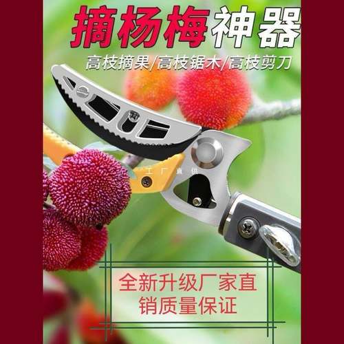 多果功杆能伸缩高空摘剪摘果神器枝采摘枇杷荔龙眼柿子高空ltao67