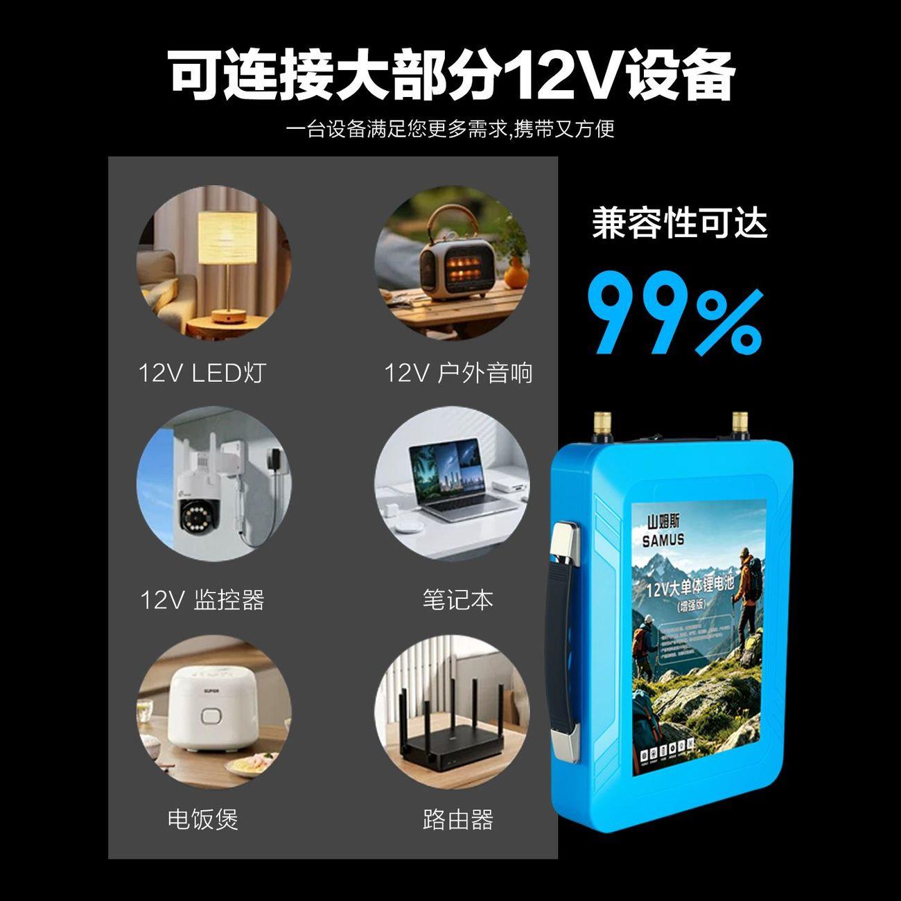 山姆斯老品牌12V锂电池