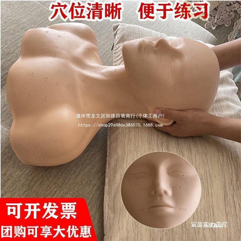 院假人模型按摩练手法头模特脸部穴位学习皮肤管理带肩膀光头