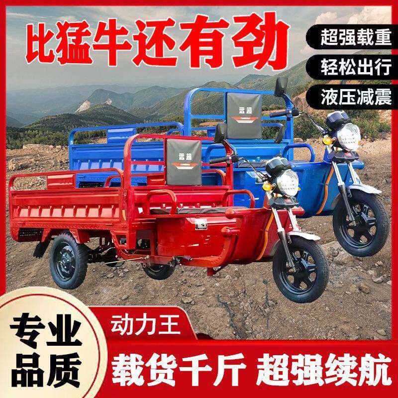 电动三轮车成人三轮车摆摊专用家用货车载货王电瓶加强山区版爬坡