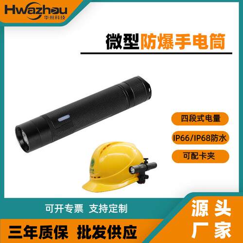 工厂供应SW2103/JW7302A/BAD202E/FD-FBP240/10微型防爆手电筒
