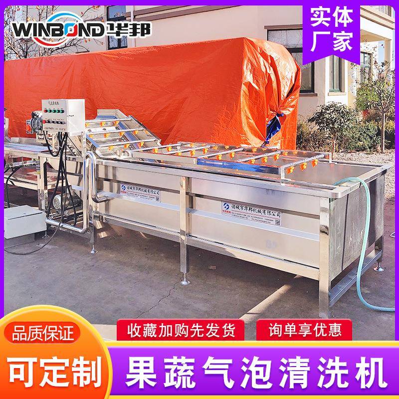 菠菜小油菜清洗除杂设备果蔬清洗流水线蘑菇气泡清洗机设备