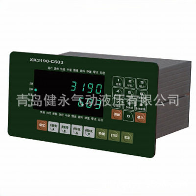 耀华XK3190-C603失重秤称重控制仪表/地磅专用称重显示控制器