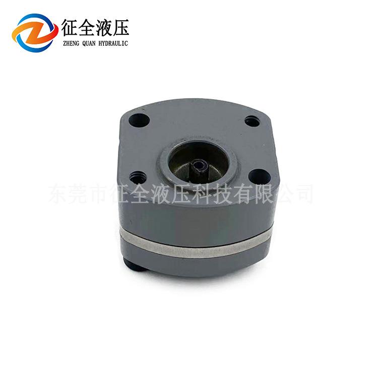 征全无人航拍飞机齿轮泵小型微型飞机燃油泵低压泵电动机系统油泵