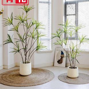 仿真龙血树盆栽大型仿生假绿植树室内客厅办公大堂千年木仿真植物