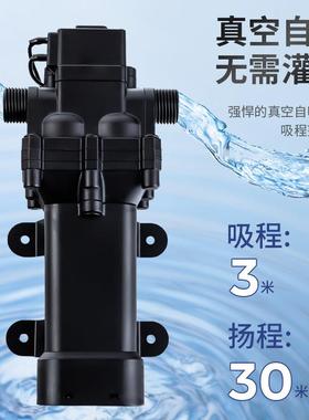 12V22054隔水泵园水花电动自吸膜泵泵浇花泵