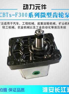 CBTS-F300系列齿轮泵高压齿轮泵液压油泵液压直发现货长江液
