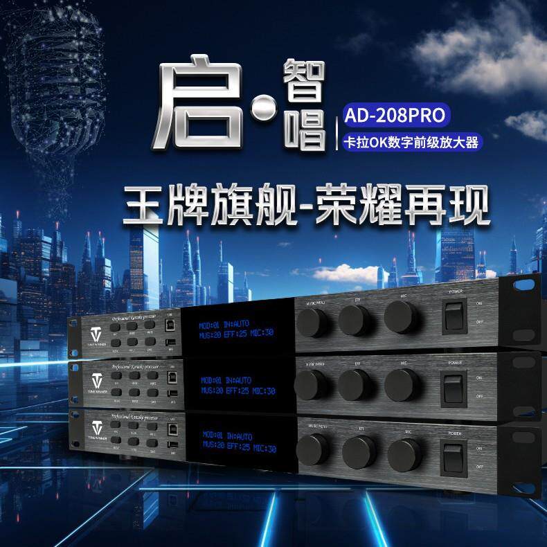 Winner/天逸AD-208PRO专业KTV卡拉OK前级音频混响处理器效果器