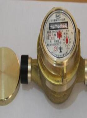 LS旋转活塞式流量计LS-6B-8B-10B-13B-15B-20B-25B不锈钢流量计