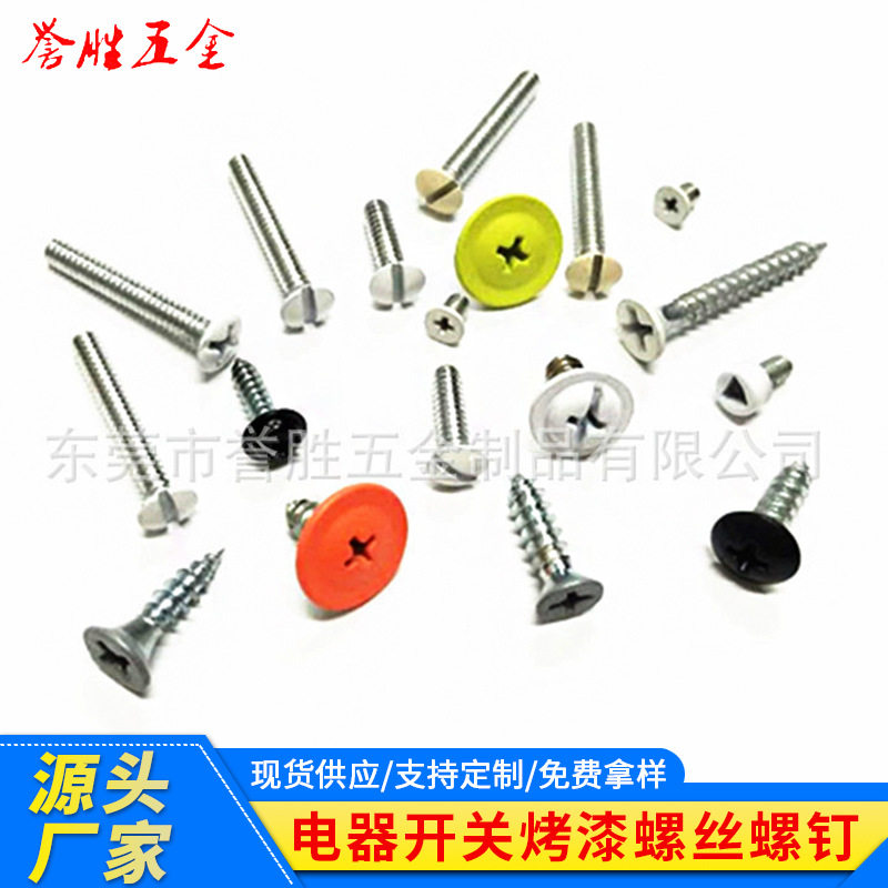 烤漆螺丝东莞工厂供应电器开关专用螺钉装饰幕墙喷漆白色螺钉