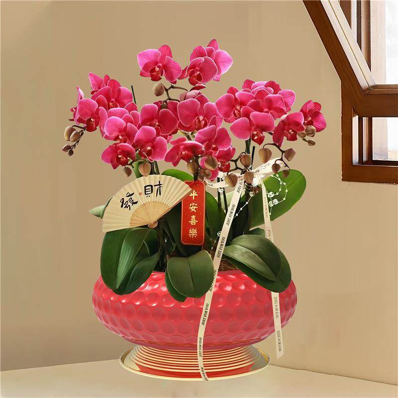 锤纹圆弧盘大口径蝴蝶兰专用花盆年宵盆冬青金属福桶室内装饰摆件,节庆用品/礼品,新娘配件,淘宝优惠券,粉丝福利购,淘宝优惠卷