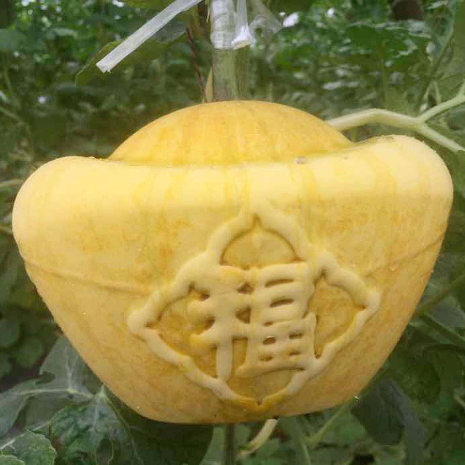 长元模宝形西瓜定形生模具方形心形西瓜ZRQ模子具福字元宝水果模,橡塑材料及制品,泡沫塑料模型/模具,淘宝优惠券,粉丝福利购,淘宝优惠卷