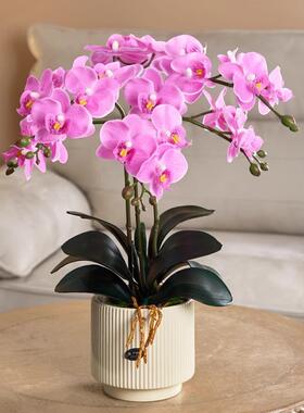 蝴兰仿真花摆兰花轻奢设高端假花VYD插餐桌花花艺摆件绢花摆花蝶