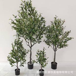 真橄榄jm240228树仿居盆栽绿化家程工室内外带果仿真橄榄树厂家