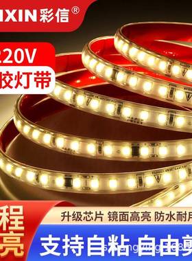 高亮工程专用AC220V/127V/36V/DC36V/24V/12V防水户外LED灯带灯条
