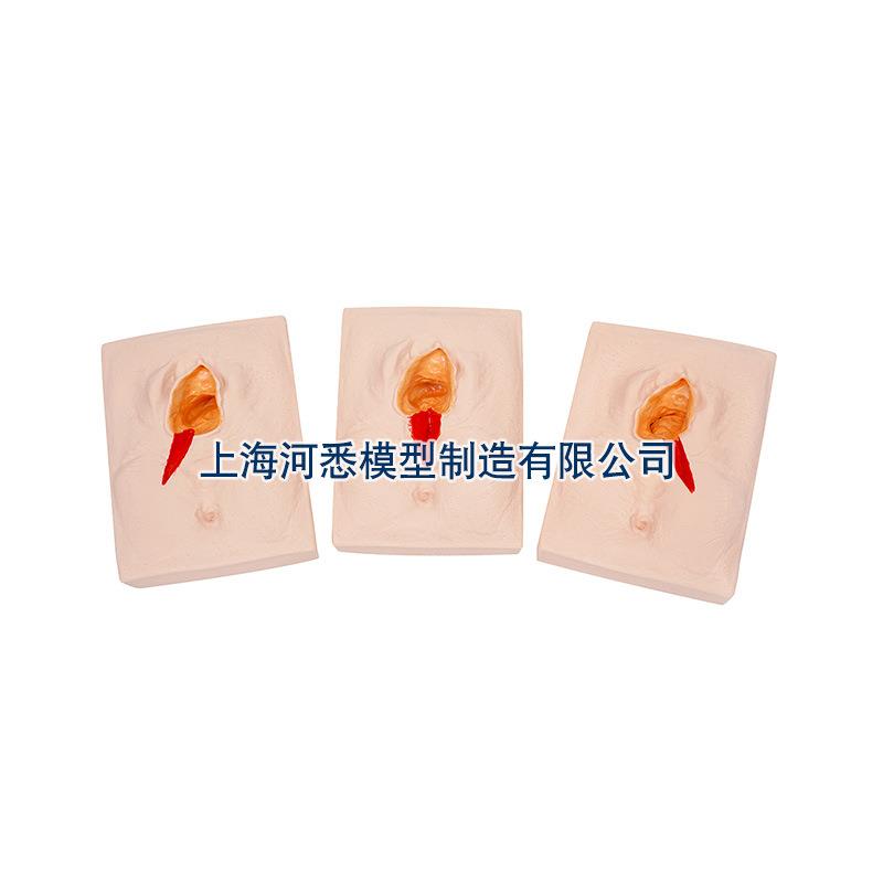 外阴切开展示缝合练习模型