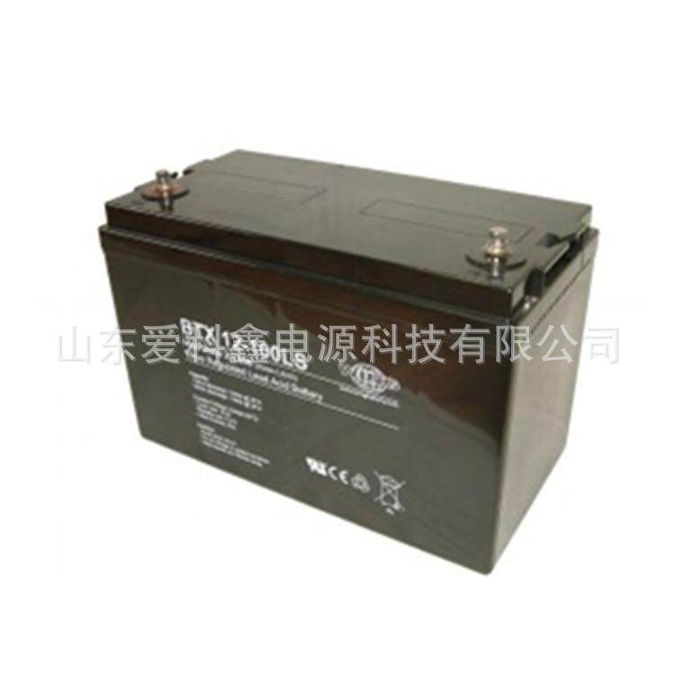 WING蓄电池BTX12-100LS12V100AH高倍率深循环电瓶