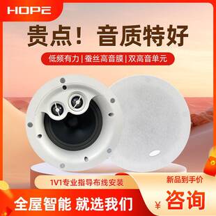 HOPE/向往700背景音乐定阻吸顶喇叭20W双声道背景音乐系统大喇叭