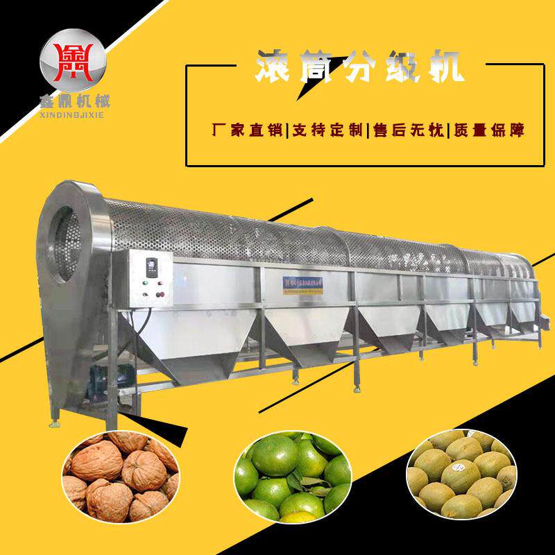 全自动滚筒式分选机云南核桃分选设备不锈钢材质甜橙分级机