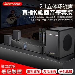 爱浪家庭影院回音壁音响5.1重低音家用客厅k歌音箱套装卡拉ok设备