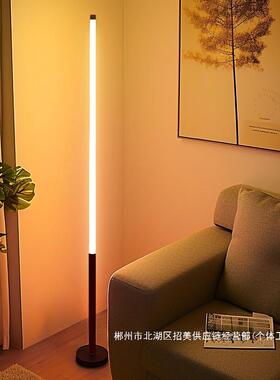 直销led落地灯极简现代家用客厅氛围灯卧室立式床头墙角线条
