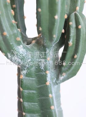 门仿仙人掌沙生风格11253植物摆造景搭配龙神柱真店堆景店铺装饰