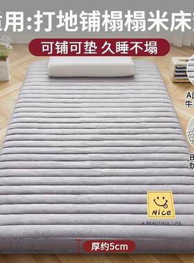 铺睡垫家床22406软用垫可折垫叠防地潮地垫打地铺单双人租房垫