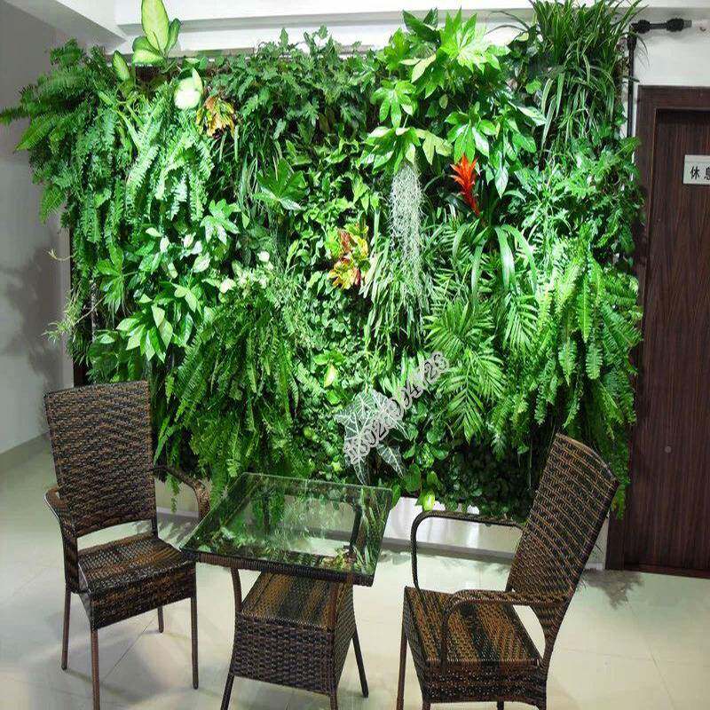 树草猫饰仿真植物配材金钱叶植假皮室内花草物门头绿植装人EJP造