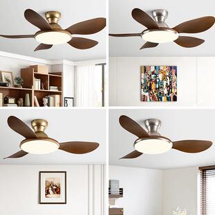 客厅风扇顶吊灯2025新款PL-5520-餐厅风吊扇古灯中电扇灯一体卧室