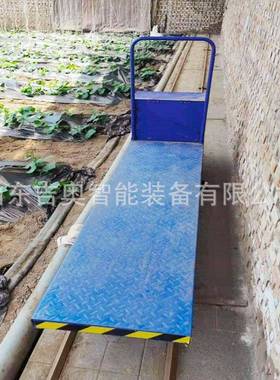 农用果园大棚道车运蔬WHS菜平苗板秧双轨轨装载机电动遥控搬运输