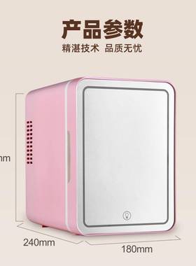 车家两用美妆镜面迷你小冰箱制冷护59710肤品式料饮载4L便携车冰