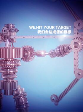 制造现ELA直齿齿条,高速精齿密直齿条齿,直齿条,货直条