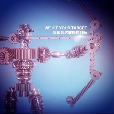 制造现ELA直齿齿条,高速精齿密直齿条齿,直齿条,货直条