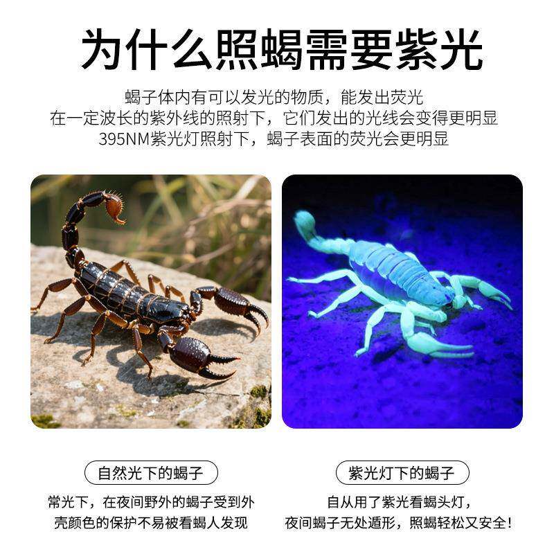 2025新款照蝎子灯光紫光专用CY03灯超亮充强电式便携超长续航率大