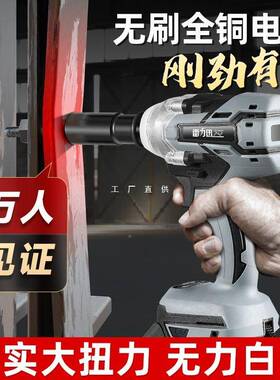 雷力迅无刷电扳动手大QNV扭力锂电风炮冲架子工击充扳电手电板手