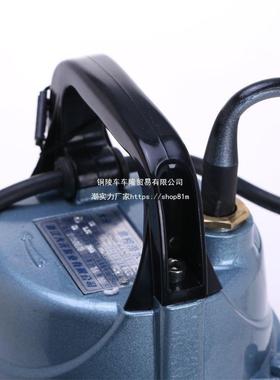 大元农水泵潜水泵220V清水泵水井增压程家用VRJ抽水溉机用高扬灌