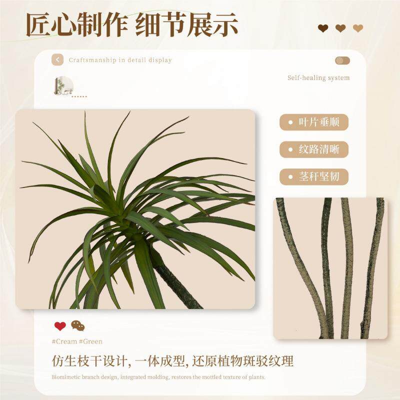 龙血树仿植真植龙须龙铁树客树厅装饰室内大型假绿物盆栽落OYT地