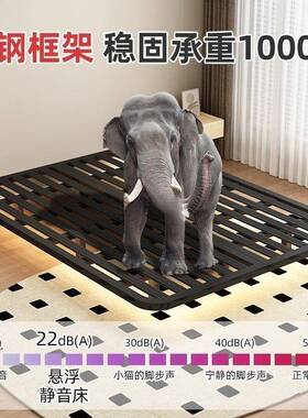 悬浮床双人家用不锈悬空铁钢艺床加厚加粗CSQ钢床现代简约铁架床