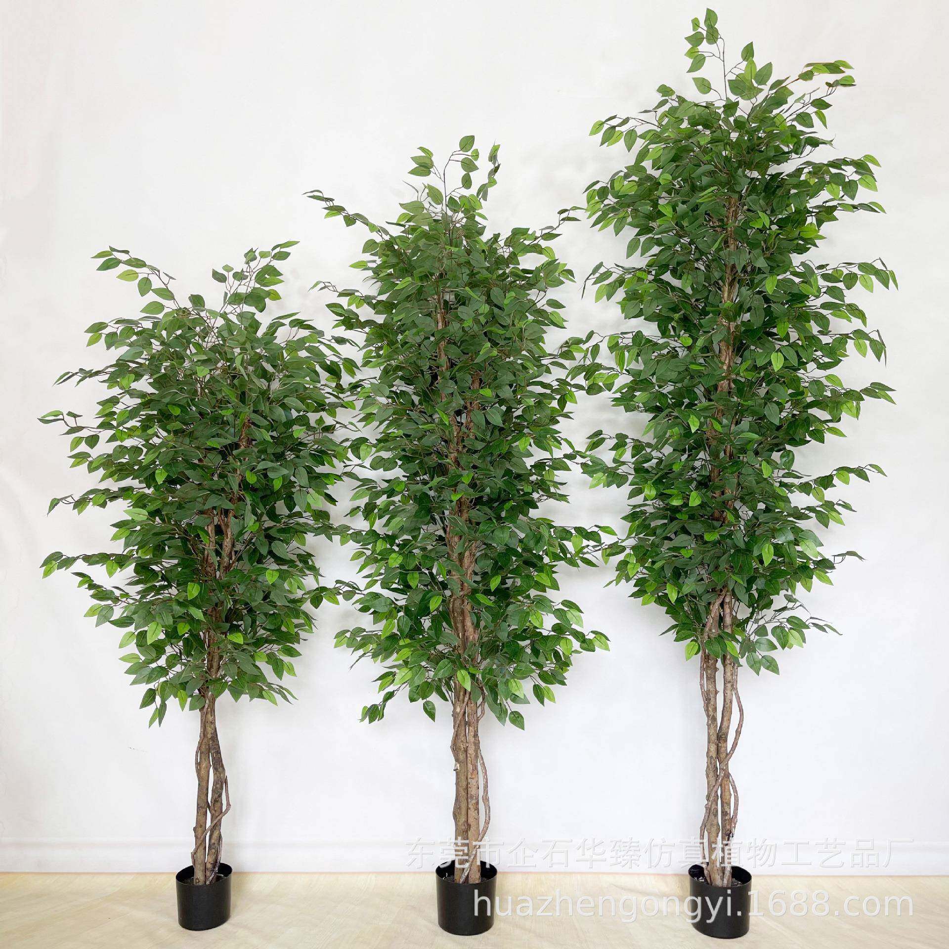 真仿榕树橱窗EPB型真植物幸福树室内家端居大装饰摆件加密榕树