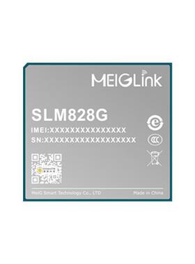 美格LM2FNRA8GLG封8装4G模S组