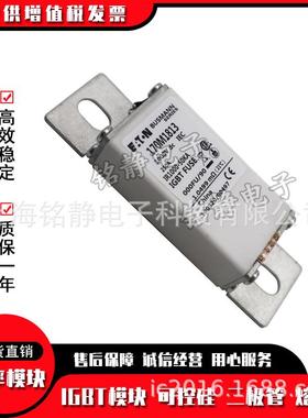 170012M1812170M18311170M1824170M825巴斯曼熔断1器现货170N826